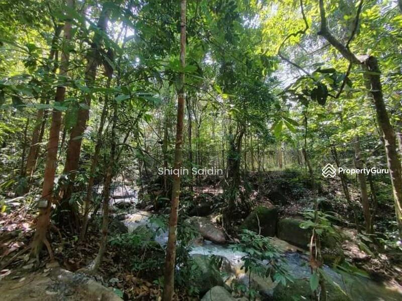 For Sale - hulu Rening