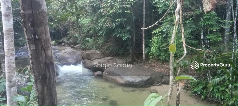 For Sale - hulu Rening