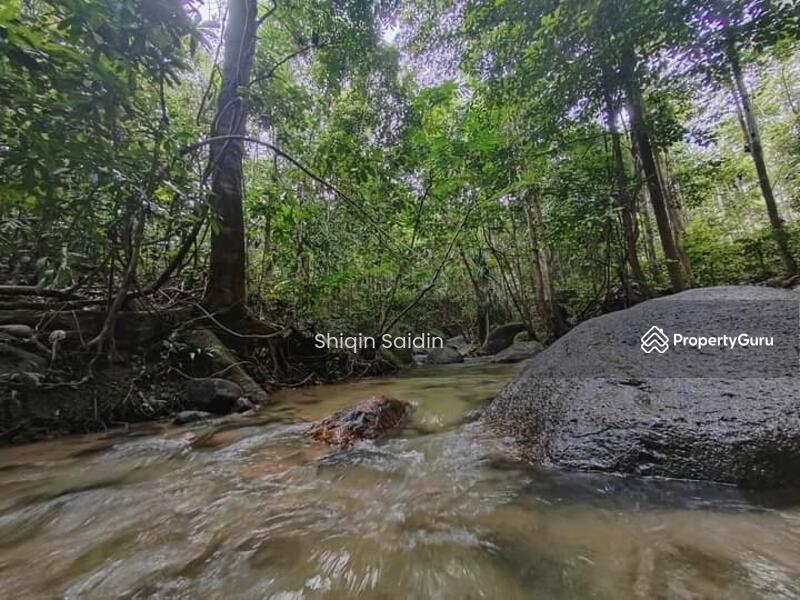 For Sale - hulu Rening