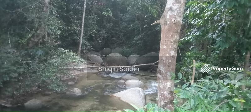 For Sale - hulu Rening