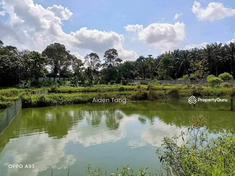 For Sale - Plentong Agriculture Land with Fish Farm