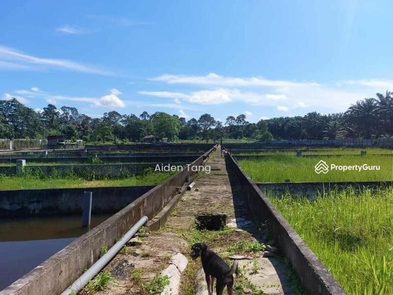 For Sale - Plentong Agriculture Land with Fish Farm