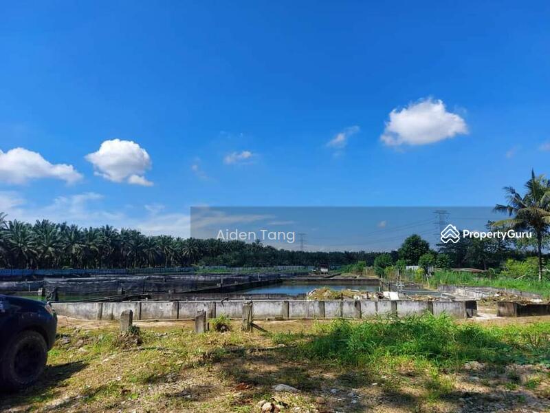 For Sale - Plentong Agriculture Land with Fish Farm