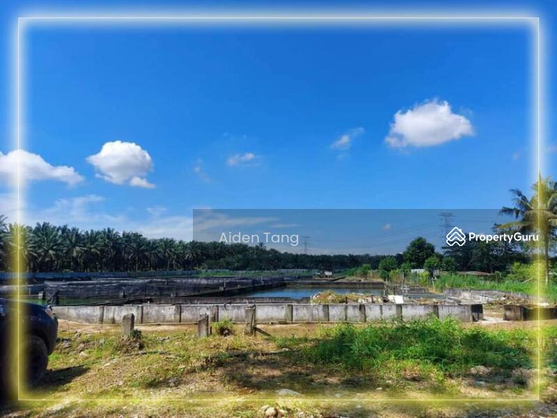 For Sale - Plentong Agriculture Land with Fish Farm