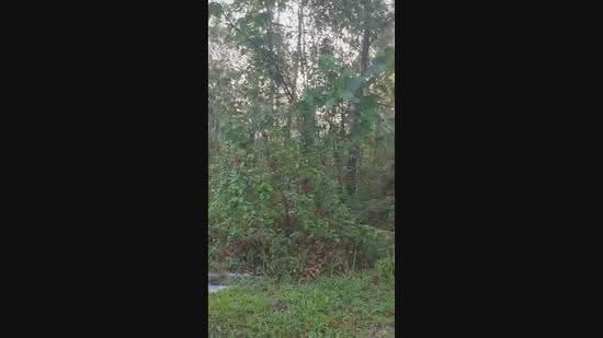Residential Land for Sale in Taman Rimba (Mentakab) - Amy Lew - PropertyGuru.com.my