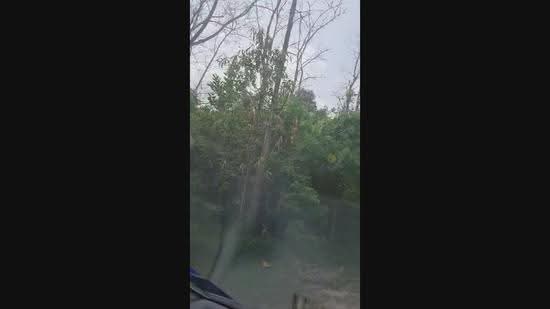 Residential Land for Sale in Taman Rimba (Mentakab) - Amy Lew - PropertyGuru.com.my