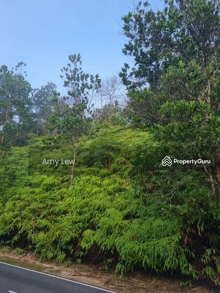 Residential Land for Sale in Taman Rimba (Mentakab) - Amy Lew - PropertyGuru.com.my