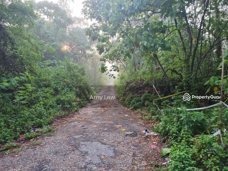 Residential Land for Sale in Taman Rimba (Mentakab) - Amy Lew - PropertyGuru.com.my