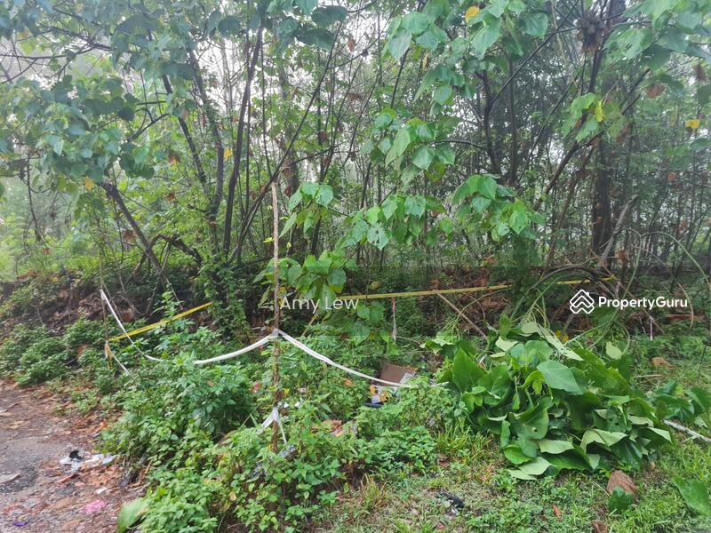 Residential Land for Sale in Taman Rimba (Mentakab) - Amy Lew - PropertyGuru.com.my