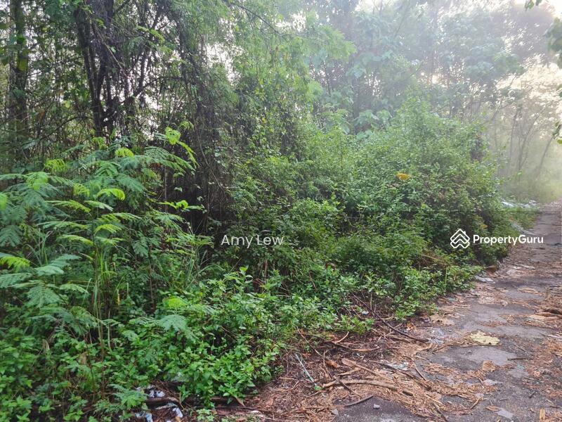 Residential Land for Sale in Taman Rimba (Mentakab) - Amy Lew - PropertyGuru.com.my