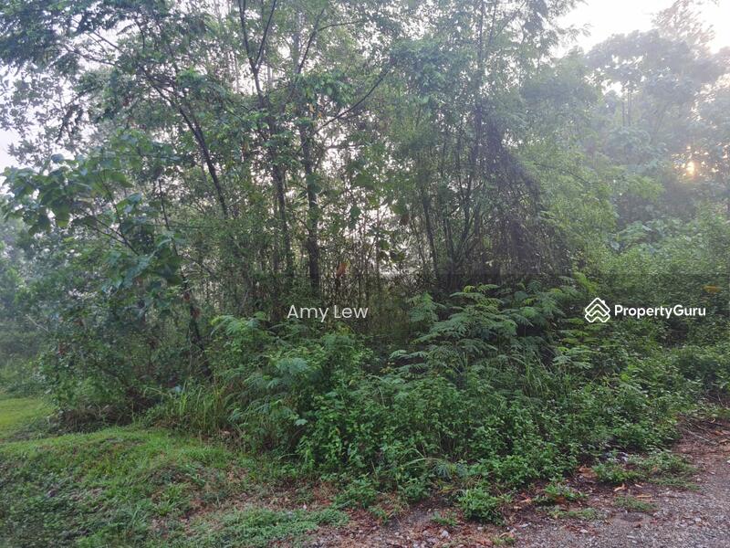 Residential Land for Sale in Taman Rimba (Mentakab) - Amy Lew - PropertyGuru.com.my