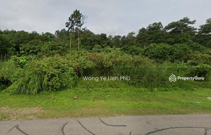 www.drwongproperty.com
