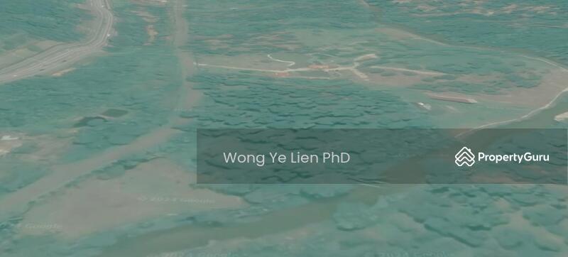 www.drwongproperty.com