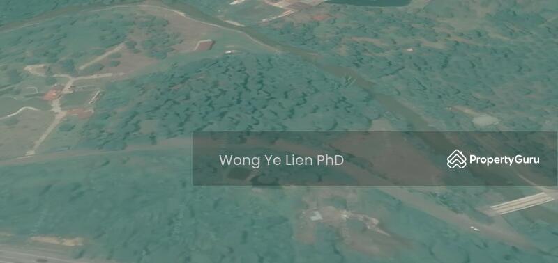 www.drwongproperty.com