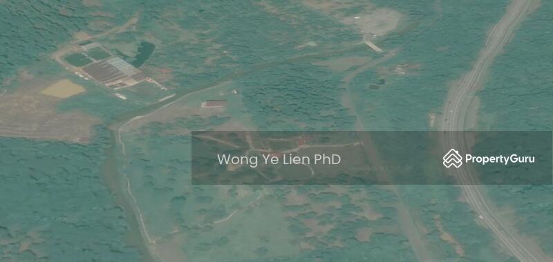 www.drwongproperty.com