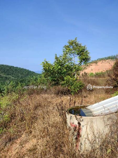 For Sale - TAMAN MAWAR INDAH, TRIANG, BERA, PAHANG