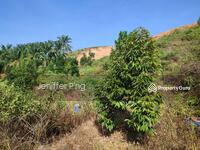 For Sale - TAMAN MAWAR INDAH, TRIANG, BERA, PAHANG