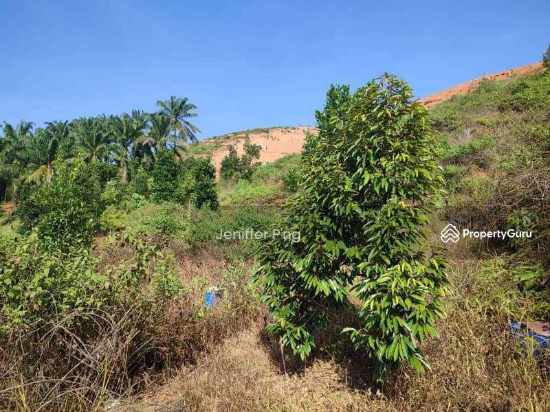 For Sale - TAMAN MAWAR INDAH, TRIANG, BERA, PAHANG