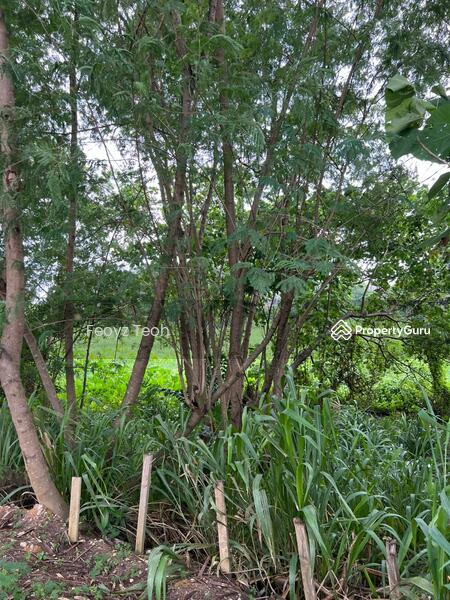 Untuk Dijual - Development or Commercial Land, Jalan Song Ban Kheng, Bukit Mertajam
