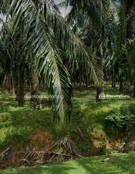 For Sale - Agriculture land at Sungai Petani
