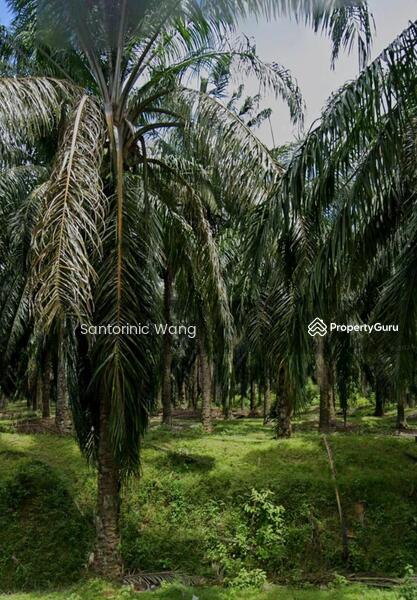 For Sale - Agriculture land at Sungai Petani