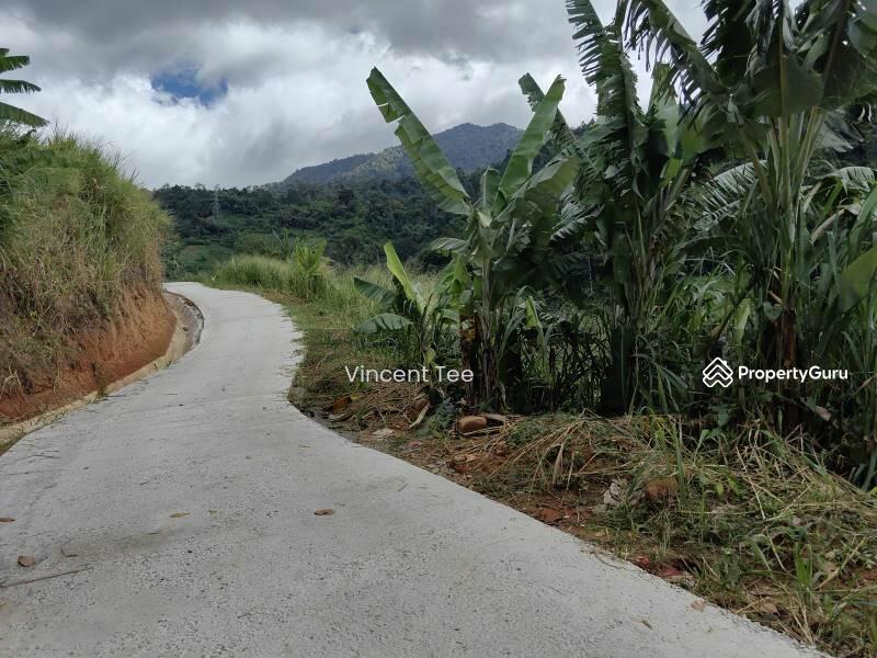For Sale - 2.25 Acre Agriculture Vege Farm Bukit Tinggi Janda Baik Bentong