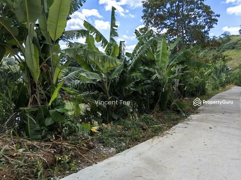 For Sale - 2.25 Acre Agriculture Vege Farm Bukit Tinggi Janda Baik Bentong