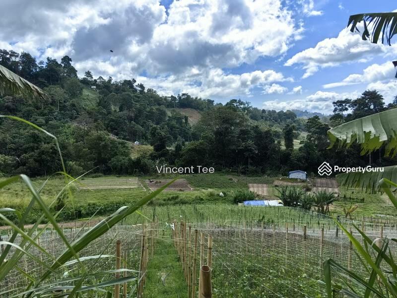 For Sale - 2.25 Acre Agriculture Vege Farm Bukit Tinggi Janda Baik Bentong