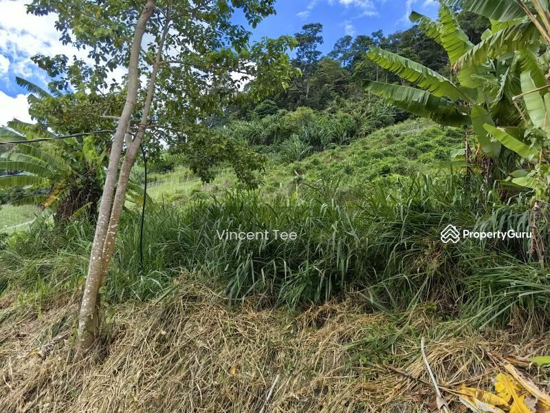 For Sale - 2.25 Acre Agriculture Vege Farm Bukit Tinggi Janda Baik Bentong