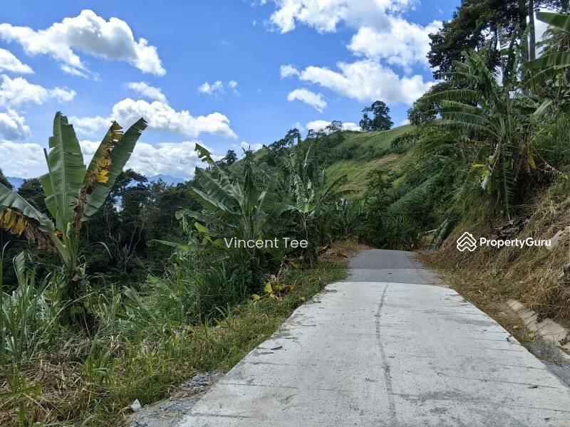 For Sale - 2.25 Acre Agriculture Vege Farm Bukit Tinggi Janda Baik Bentong