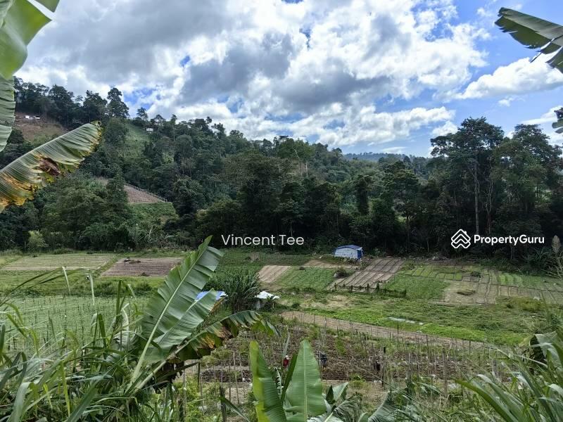 For Sale - 2.25 Acre Agriculture Vege Farm Bukit Tinggi Janda Baik Bentong