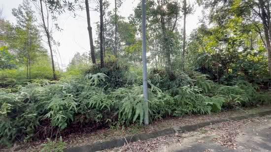 Residential Land for Sale in Bandar Bukit Mahkota (Bangi) - Najibah Sahari - PropertyGuru.com.my