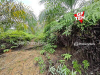 For Sale - 16.64 Acres Agricultural Land Selama Perak 1.8 psf t