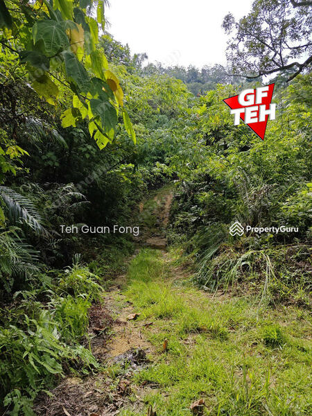 Tanah Pertanian untuk Dijual di Kampung Guar Petai (Selama) - Teh Guan Fong - PropertyGuru.com.my