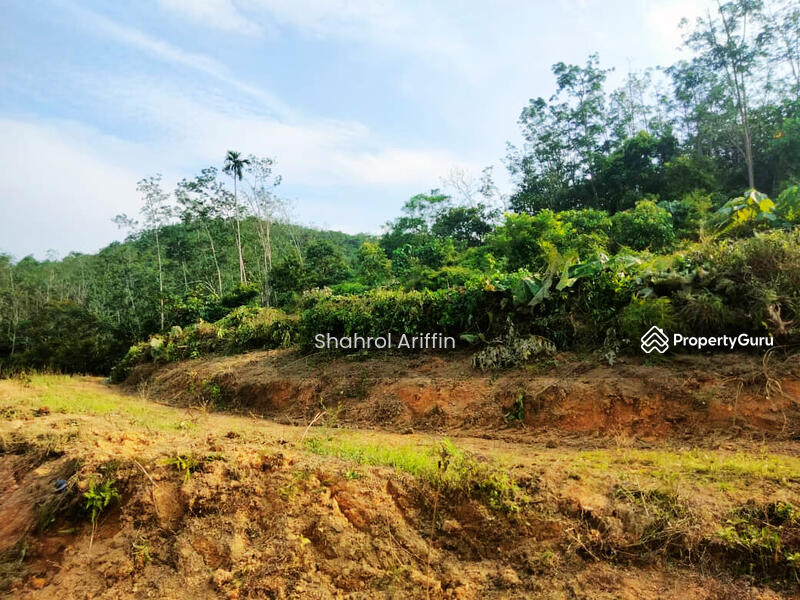 Ulu Brisu untuk Untuk Dijual - RM 185,000, Apr 2026 - PropertyGuru.com.my
