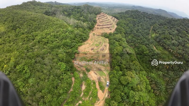 Ulu Brisu untuk Untuk Dijual - RM 185,000, Apr 2026 - PropertyGuru.com.my