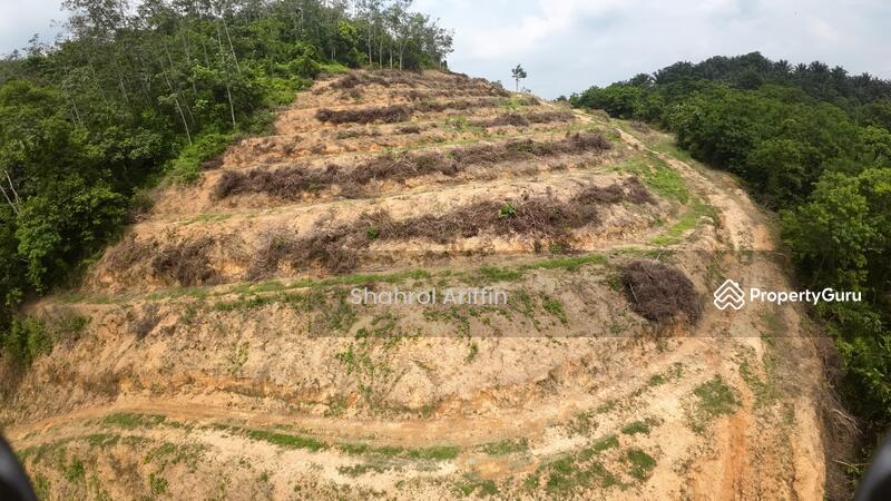 Ulu Brisu untuk Untuk Dijual - RM 185,000, Apr 2026 - PropertyGuru.com.my