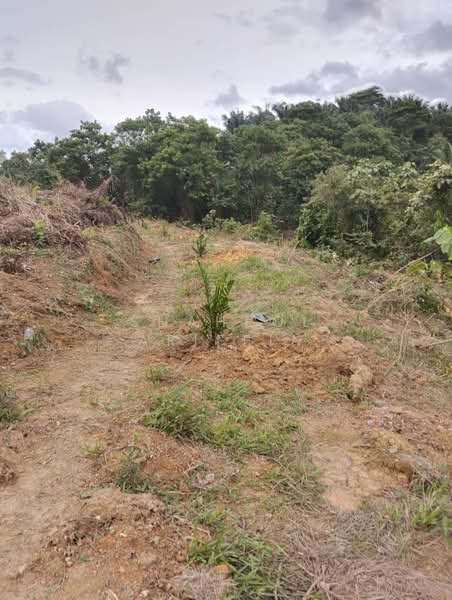 Tanah Pertanian untuk Dijual di Kampung Brisu (Brisu) - Shahrol Ariffin - Exterior - PropertyGuru.com.my