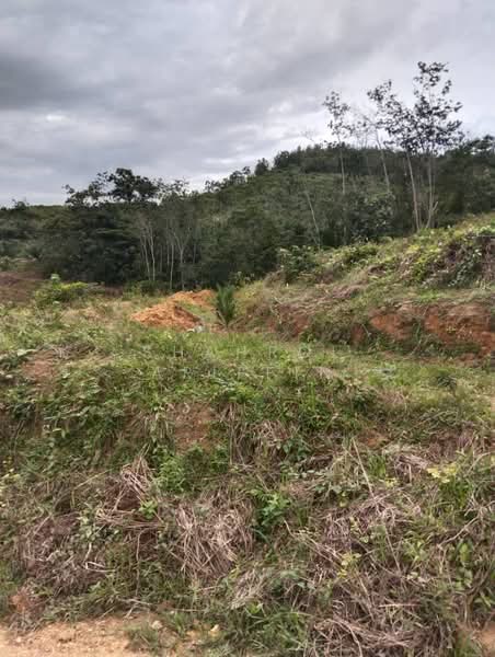 Tanah Pertanian untuk Dijual di Kampung Brisu (Brisu) - Shahrol Ariffin - Exterior - PropertyGuru.com.my