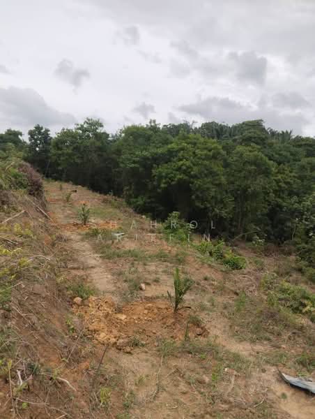 Tanah Pertanian untuk Dijual di Kampung Brisu (Brisu) - Shahrol Ariffin - Exterior - PropertyGuru.com.my