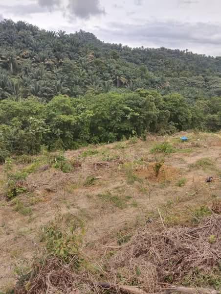 Tanah Pertanian untuk Dijual di Kampung Brisu (Brisu) - Shahrol Ariffin - Exterior - PropertyGuru.com.my