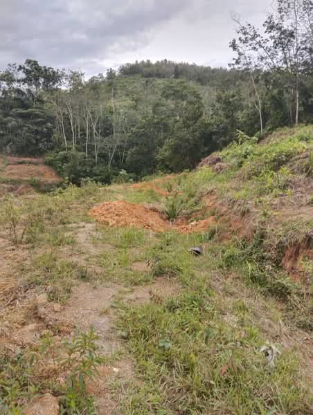 Tanah Pertanian untuk Dijual di Kampung Brisu (Brisu) - Shahrol Ariffin - Exterior - PropertyGuru.com.my