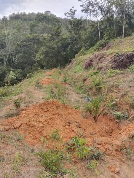 Tanah Pertanian untuk Dijual di Kampung Brisu (Brisu) - Shahrol Ariffin - Exterior - PropertyGuru.com.my