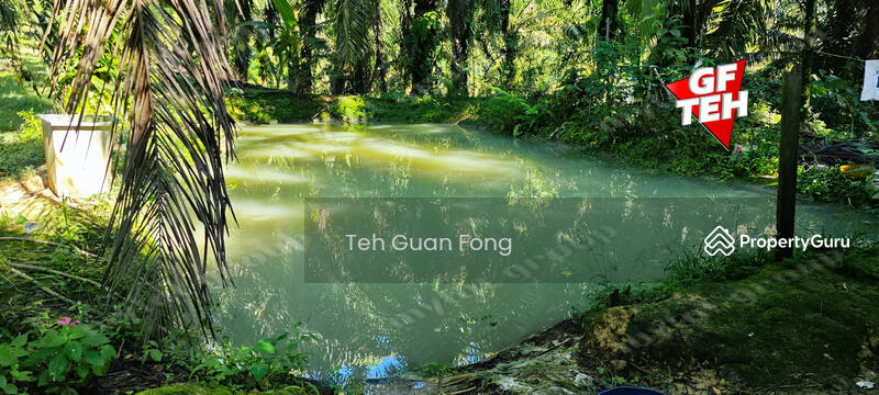 For Sale - 22.39 acre Agricultural Land (Hilly) | Junjong | Kulim | Kedah RM3.70 psf