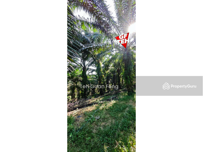 For Sale - 22.39 acre Agricultural Land (Hilly) | Junjong | Kulim | Kedah RM3.70 psf