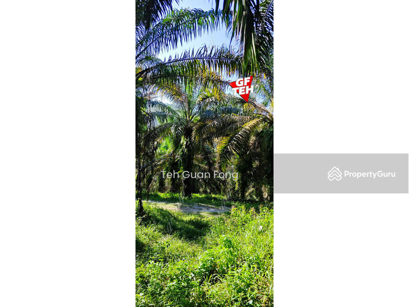 For Sale - 22.39 acre Agricultural Land (Hilly) | Junjong | Kulim | Kedah RM3.70 psf