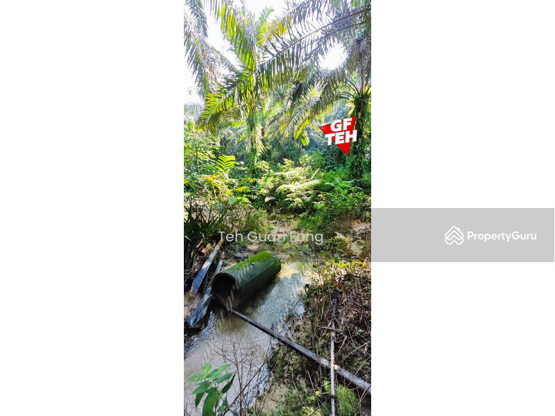 For Sale - 22.39 acre Agricultural Land (Hilly) | Junjong | Kulim | Kedah RM3.70 psf