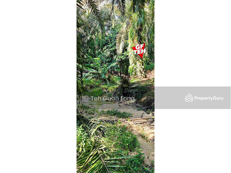For Sale - 22.39 acre Agricultural Land (Hilly) | Junjong | Kulim | Kedah RM3.70 psf