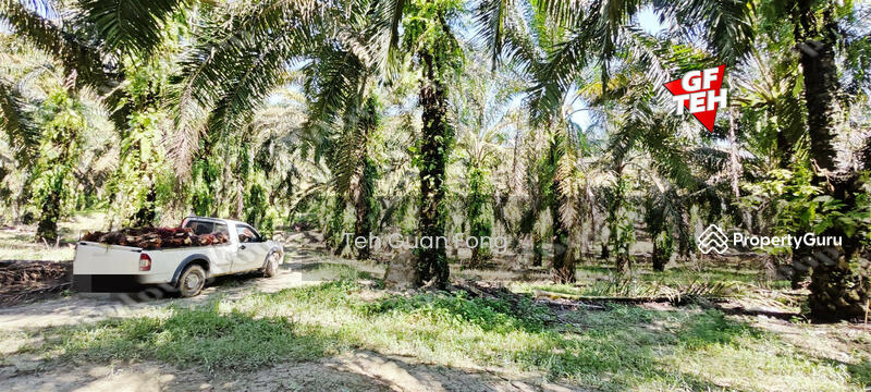 For Sale - 22.39 acre Agricultural Land (Hilly) | Junjong | Kulim | Kedah RM3.70 psf