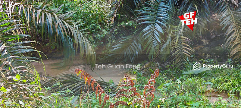 For Sale - 22.39 acre Agricultural Land (Hilly) | Junjong | Kulim | Kedah RM3.70 psf